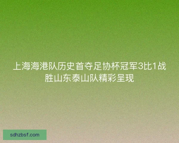 上海海港队历史首夺足协杯冠军3比1战胜山东泰山队精彩呈现