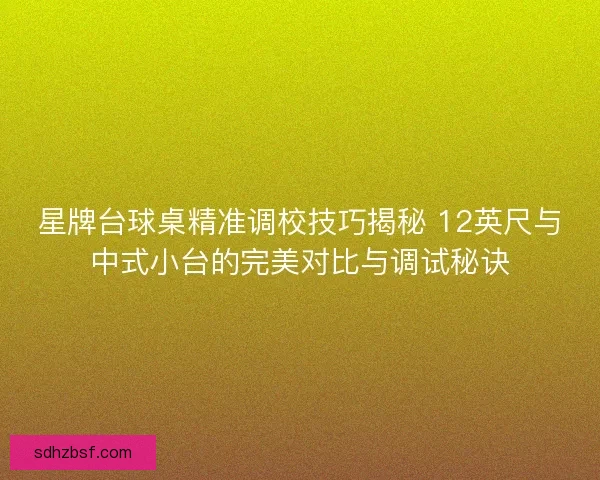 星牌台球桌精准调校技巧揭秘 12英尺与中式小台的完美对比与调试秘诀